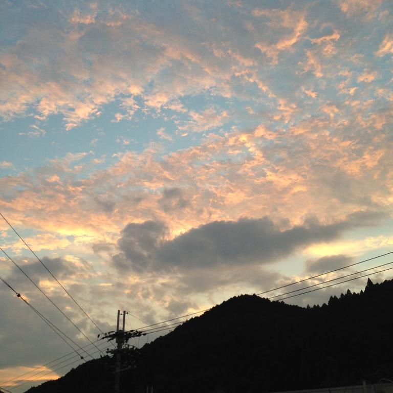 Hase Guesthouse Ittan Sakurai Exterior photo